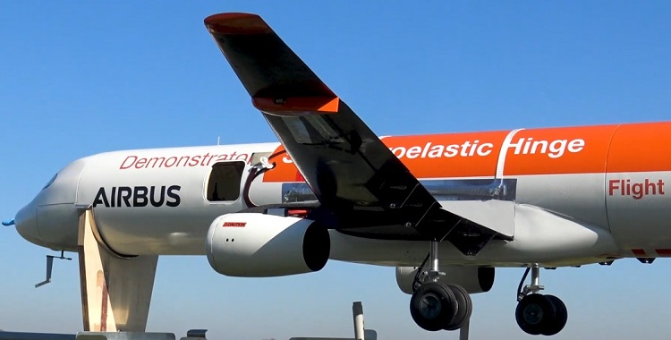 Альбатрос вдохновил Airbus на создание гибких крыльев