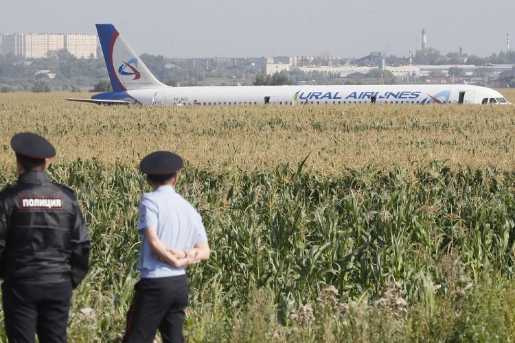 Посадка Airbus A321 в кукурузу сразу после взлета