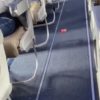 Стюардесса развлекала пассажиров «ожившими» снэками